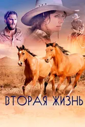 Вторая жизнь 2017 постер