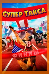 Супер Такса 2016 постер