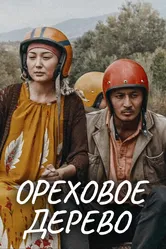 Ореховое дерево 2016 постер