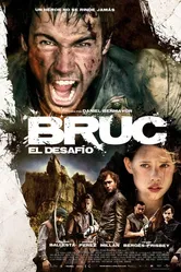 Брук. Вызов 2010 постер
