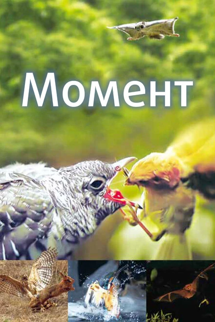 Постер Момент 2016
