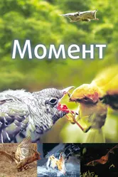 Момент 2016 постер
