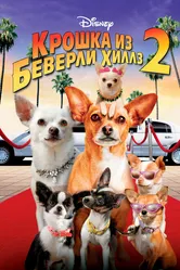 Крошка из Беверли-Хиллз 2 2010 постер