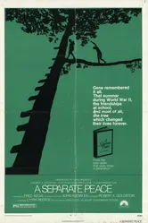 Сепаратный мир 1972 постер