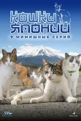 Кошки Японии 2017 постер