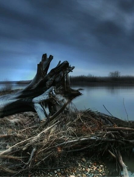 Постер Down by the Water