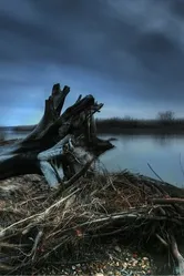 Down by the Water постер