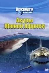 Discovery: Акулы Южной Африки 2001 постер