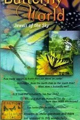 Butterfly World постер