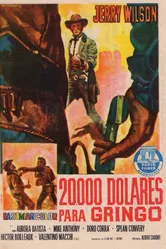 20 000 долларов, залитых кровью 1969 постер