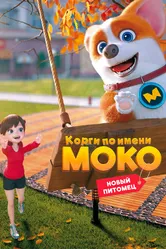 Корги по имени Моко. Новый питомец 2021 постер