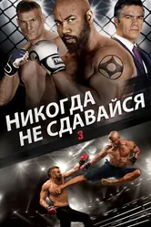 Никогда не сдавайся 3 2016 постер