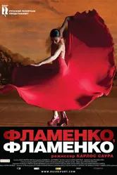 Фламенко, фламенко 2010 постер