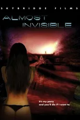 Almost Invisible постер