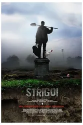 Стригой 2009 постер