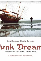 Junk Dreams постер