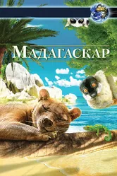 Мадагаскар 3D 2013 постер