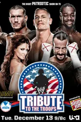 WWE Дань войск 2011 постер
