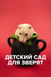 Детский сад для зверят 2021 постер