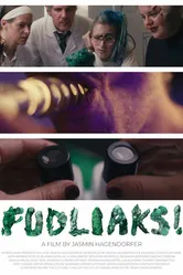 Fudliaks! постер