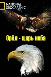 Орёл — царь неба 2014 постер
