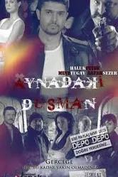 Враг в зеркале 2009 постер