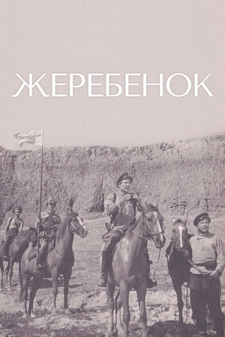 Постер Жеребенок 1959