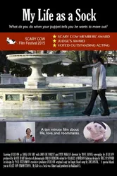 My Life as a Sock постер