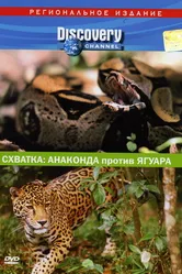 Discovery. Схватка: Анаконда против ягуара 2004 постер