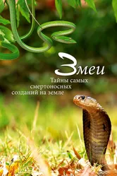 Змеи. Тайны самых смертоносных созданий на земле 2014 постер