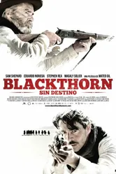 Блэкторн 2011 постер