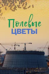 Полевые цветы 2022 постер