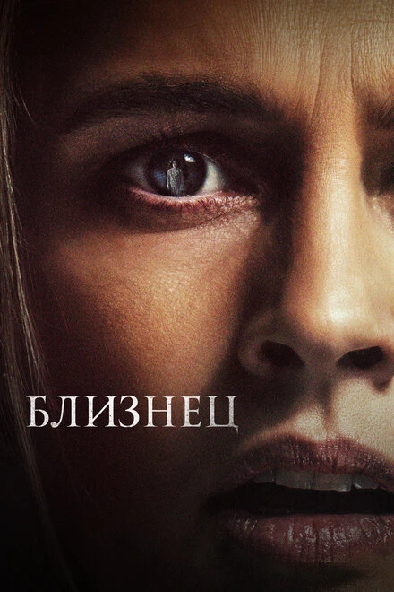 Постер Близнец 2022