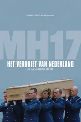 МН17: Нация скорбит 2015 постер