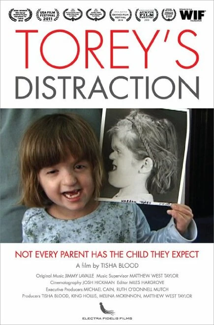Постер Torey's Distraction