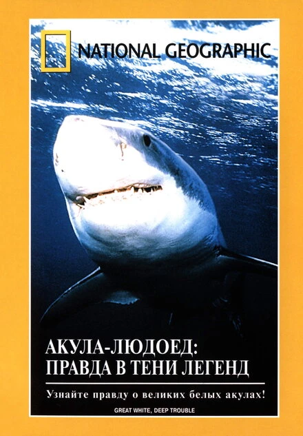 Постер НГО: Акула-людоед. Правда в тени легенд 2000