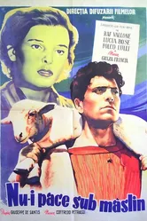 Нет мира под оливами 1950 постер