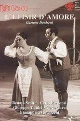 Il cavaliere del sogno постер