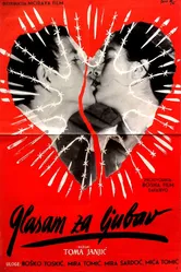 Голосую за любовь 1965 постер