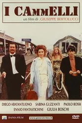 Верблюды 1988 постер