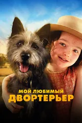 Мой любимый двортерьер 2024 постер