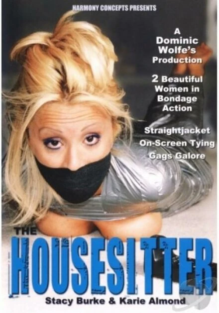Постер The Housesitter