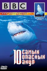 BBC: 10 самых опасных акул 2001 постер