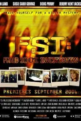 FSI: Fraud Scheme Investigation постер