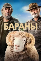 Бараны 2020 постер