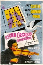 Recién casados... no molestar постер