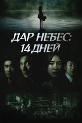Дар небес: 14 дней 2014 постер