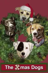 The Dogs of Winter постер
