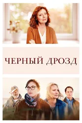 Чёрный дрозд 2019 постер