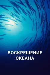 Воскрешение океана 2015 постер